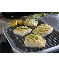 Outlet Barbecue elettrico 