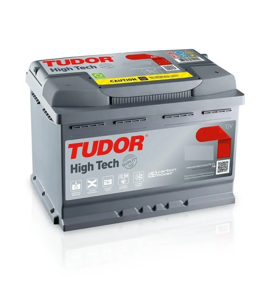 Elettrico- Batteria tudor ta1000 high tech 12v 100ah dx spunto 900 - l353 x h190 x p175.