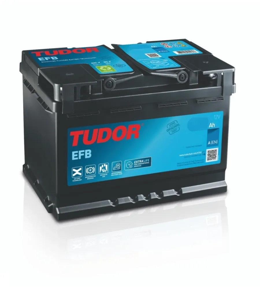 Elettrico- Batteria tudor tl955 start-stop 12v efb 95ah sx spunto 800 - l306 x h222 x p173.
