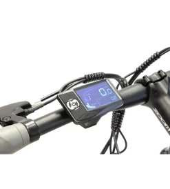 Bici Elettriche- Bici elettrica mountain bike mtb e-bike performance green con bluetooh- argento