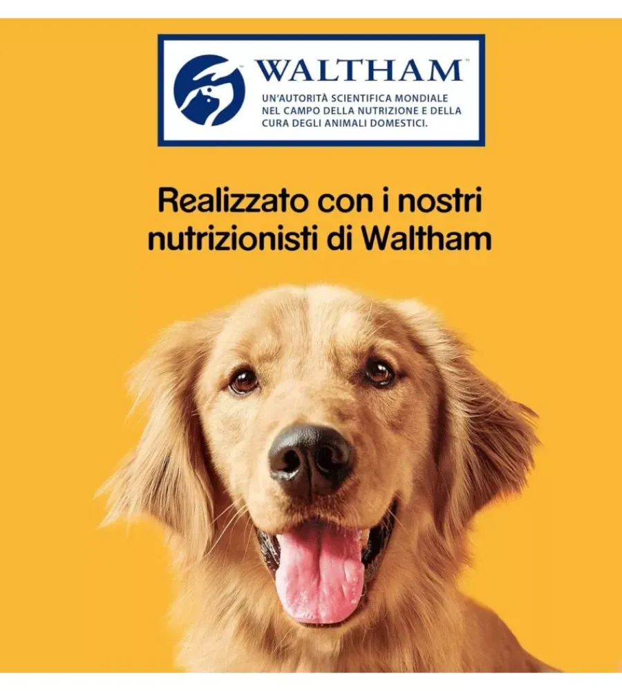 Pedigree Alimenti Secco Cane|Biscotti per cani "markies original" adulto di tutte le taglie con vitamine, calcio e omerga 3 500 gr