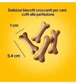 Best Biscotti per cani 