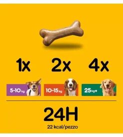 Best Biscotti per cani 