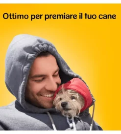 Best Biscotti per cani 