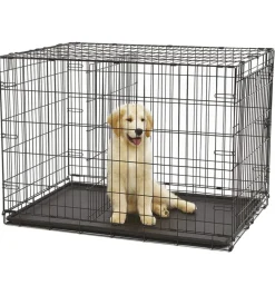 Discount Box pieghevole per cani 