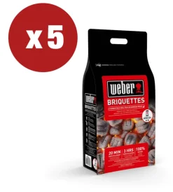 Sale Bricchetti di carbone weber per barbecue 4kg x 5 pezzi Barbecue