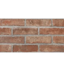 Rivestimento Murale|Brick red 31x62 scat. 1.35mq