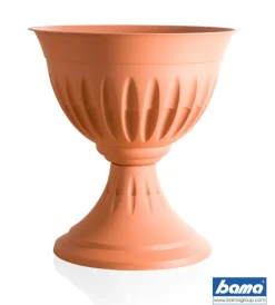 Coltivazione E Cura-Bama Calice alba d. 33 terracotta