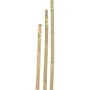 Coltivazione E Cura-Verdemax Canna bamboo piena h150cm 22/24 mm