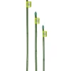 Verdemax Coltivazione E Cura|Canna bamboo plastificata h 180cm