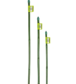 New Canna bamboo plastificata h120cm Coltivazione E Cura