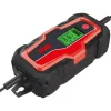Elettrico|Caricabatterie auto usag 10,0a