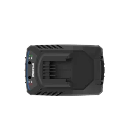 Hyundai Batterie E Caricatori Per Elettroutensili|Caricabatterie singolo 20v 2a - cod. 25896