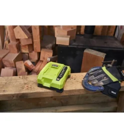 Batterie E Caricatori Per Macchine Giardinaggio-Ryobi Caricabatterie singolo rapido 