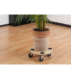 Carrello a pianale in mdf, ruote in plastica Attrezzatura Giardinaggio