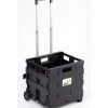 Carrello trasporto con cassa pieghevole portata 25 kg essenza 38x33x87 cm Attrezzatura Giardinaggio