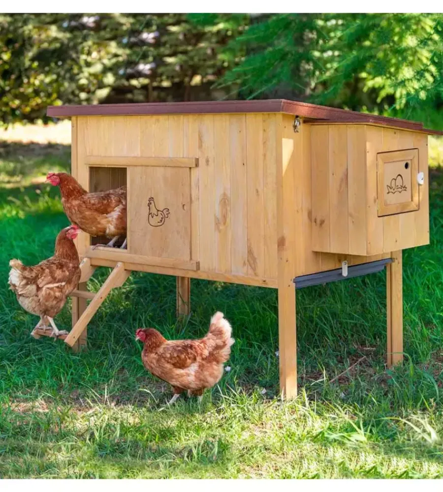 New Casetta pollaio per galline in legno "hen house 30", 162x100x110 cm - Gabbie Per Uccelli
