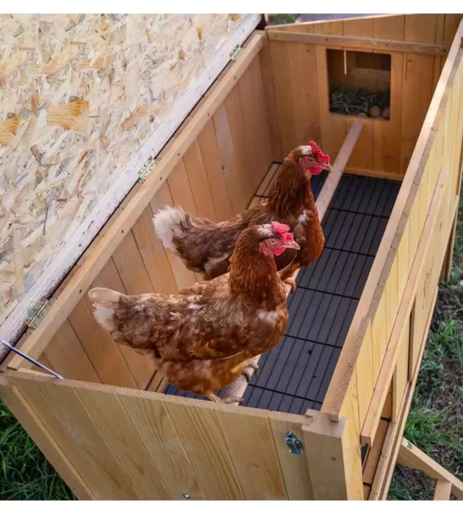 New Casetta pollaio per galline in legno "hen house 30", 162x100x110 cm - Gabbie Per Uccelli