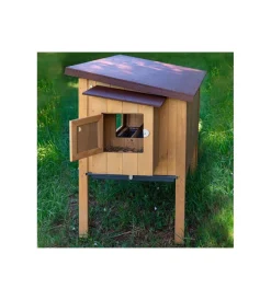 New Casetta pollaio per galline in legno