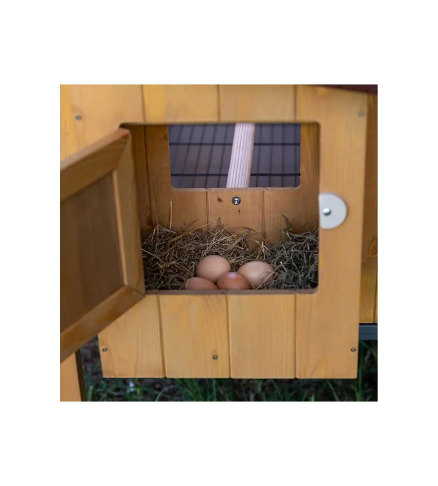 New Casetta pollaio per galline in legno "hen house 30", 162x100x110 cm - Gabbie Per Uccelli
