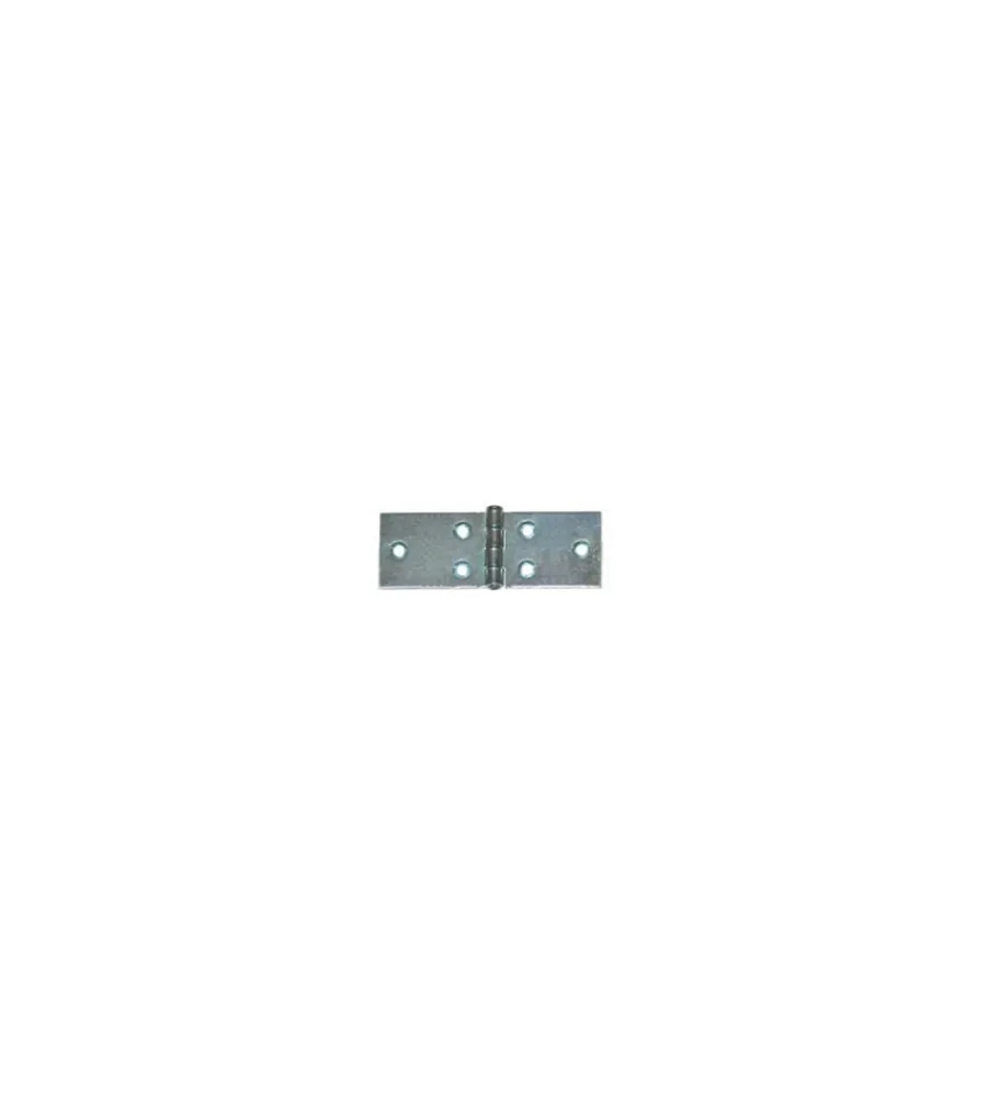 Serratura E Sicurezza- Cerniere lunghe 80 x 25 mm. - zincate - 4 pz.