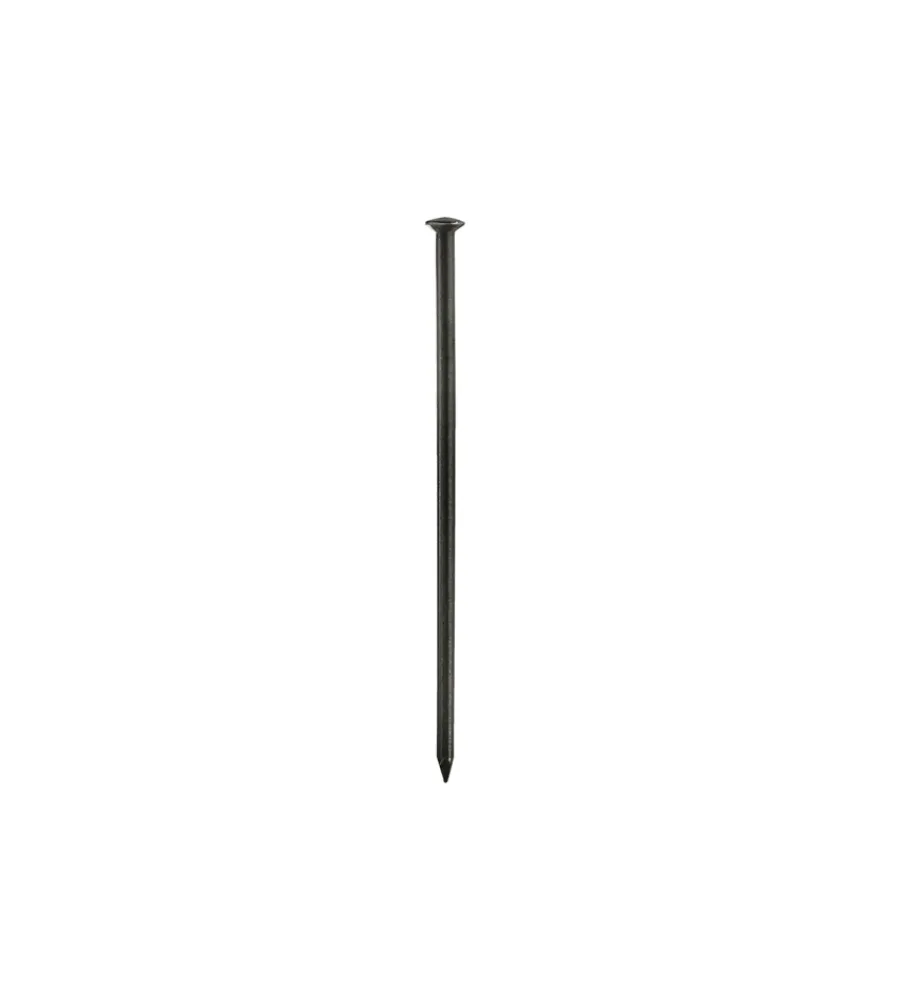 Sistemi Di Fissaggio- Chiodi testa bombata 2,0 x 20 - 70 pz.