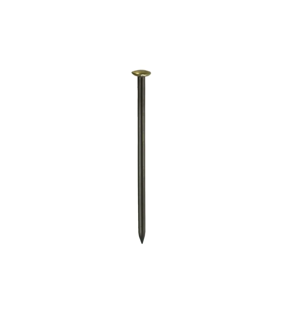 Sistemi Di Fissaggio- Chiodi testa ottone 2,0 x 30 - 12 pz.