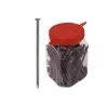 Sistemi Di Fissaggio|Chiodi testa piana lucida in secchiello 2,5 x 55 - 1 kg.