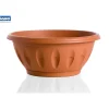 Discount Ciotola alba d. 30 terracotta Coltivazione E Cura