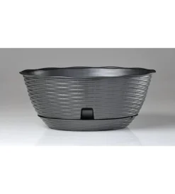 Clearance Ciotola paglia d. 30 c/sottovaso antracite Coltivazione E Cura