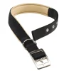 Clearance Collare in nylon imbottito per cane modello daytona nycs470 di colore nero. Guinzagli E Pettorine