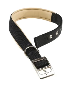 Clearance Collare in nylon imbottito per cane modello daytona nycs470 di colore nero. Guinzagli E Pettorine