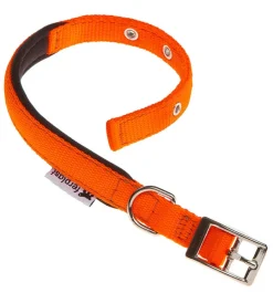 Outlet Collare in nylon modello c15/35 imbottito per cane - arancio. Guinzagli E Pettorine