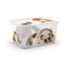 Keter Ordine E Sistemazione|Contenitore c-box style xl puppy