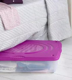 Sale Contenitore in plastica con coperchio "stagione" 60 litri Ordine E Sistemazione