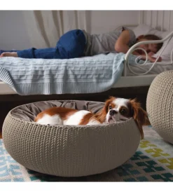 Sale Cuccia aperta per gatti e cani di taglia piccola 