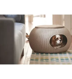 Clearance Cuccia chiusa per gatti e cani di taglia piccola 