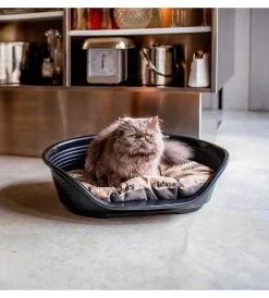 Cuscini E Brandine-Ferplast Cuccia da interno per cani e gatti "siesta deluxe 4" nero, 61,5x45x21,5 cm -