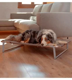 Best Cuccia lettino per cani "dream 100" in alluminio, 105x63x18 cm - Cuscini E Brandine