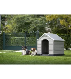 Cucce E Accessori Relativi-Keter Cuccia per cani da esterno "dog house" in polipropilene beige 99x95x99 cm
