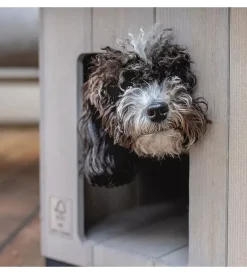 Ferplast Cucce E Accessori Relativi|Cuccia per cani da esterno 