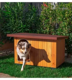 Clearance Cuccia per cani da esterno 