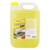 Rhutten Chimico Pulizia|Detergente auto concentrato 5 l
