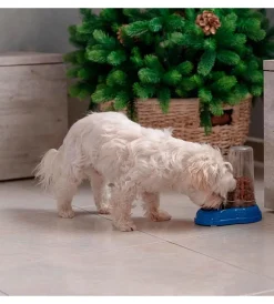Outlet Distributore di cibo o acqua per cani e gatti 