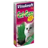 Sale Erba gatta in vaschetta Stick