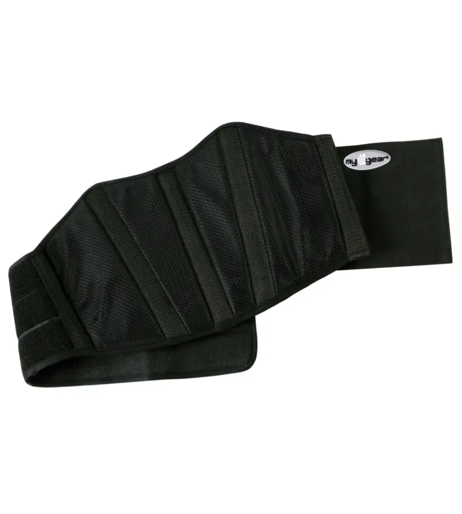Moto-Lampa Fascia reni t-maxter my gear 91328