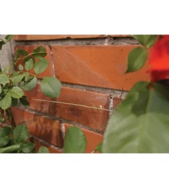 Coltivazione E Cura|Filo per giardinaggio in ferro plastificato verde su dispencer 50 mt.