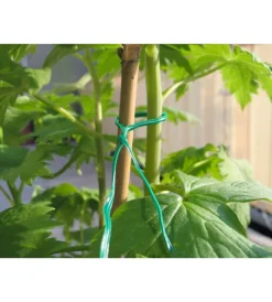Coltivazione E Cura|Filo per giardinaggio in ferro plastificato, verde, 50 metri