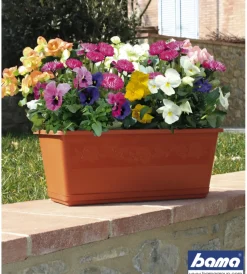 Coltivazione E Cura-Bama Fioriera balconella cm 40 c/sottovaso terracotta