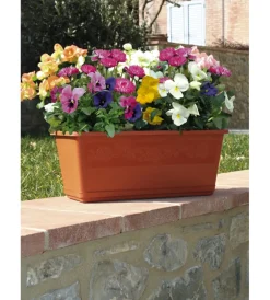 Coltivazione E Cura-Bama Fioriera balconella cm 40 c/sottovaso terracotta